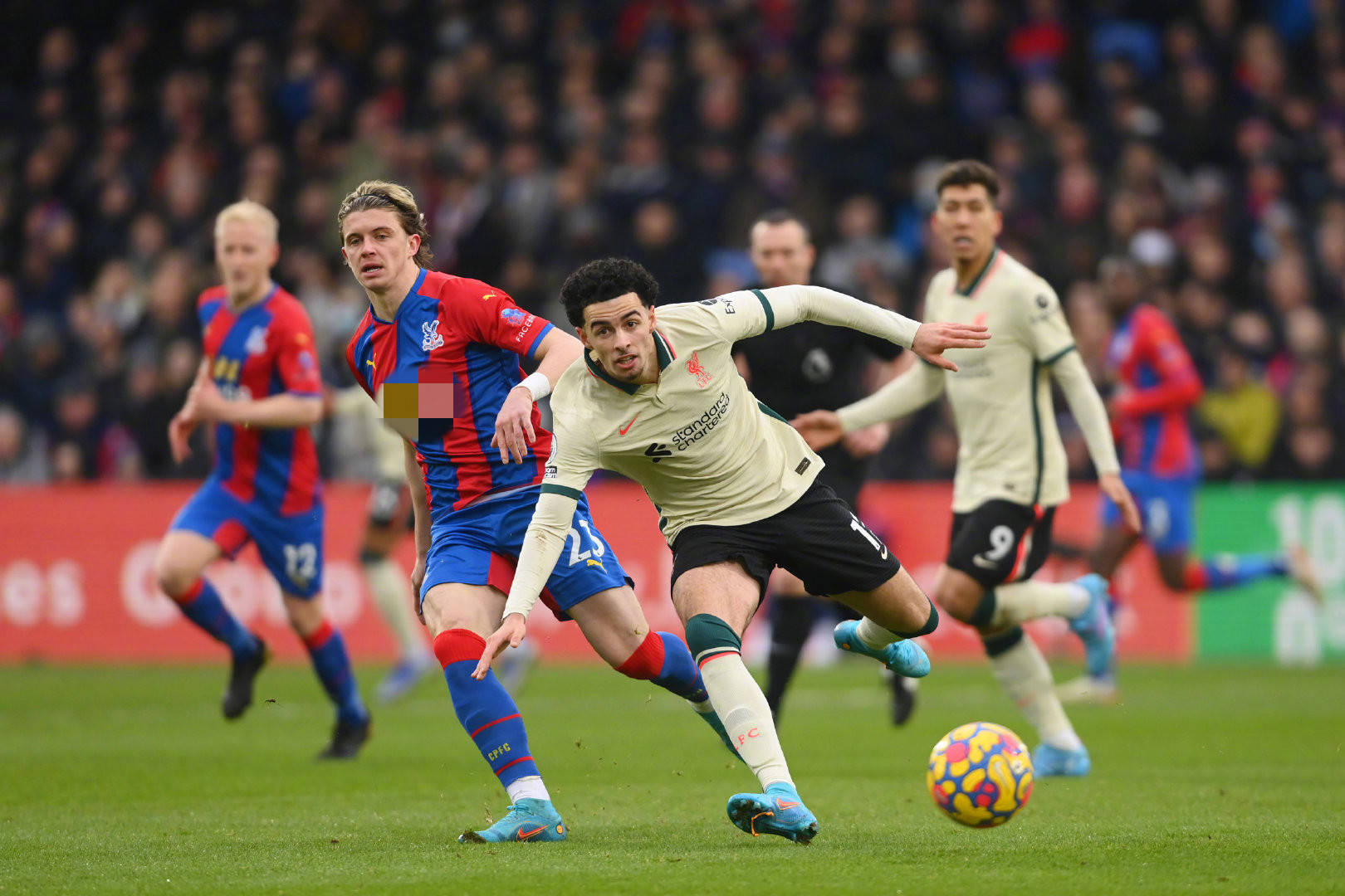 大化利用 大化利用